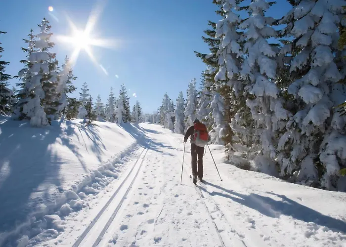 Step-free * Swieradow-Zdroj